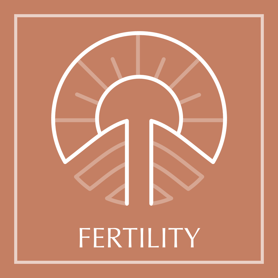 Fertility - Toowoomba Obstetrics & Gynaecology